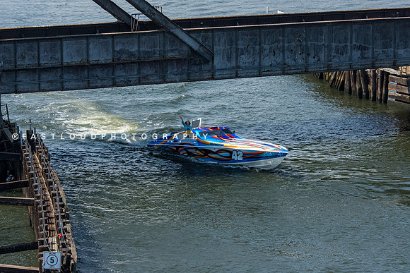 FDP_3546