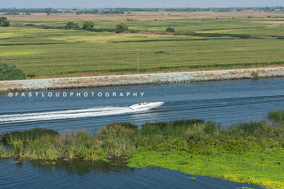 FDP_5239