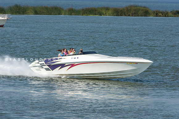 FDP_5286