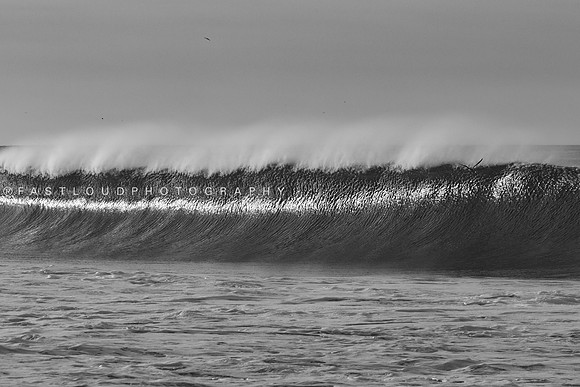 ©FastLoudPhotography_SaltCreek_1Y9A0780