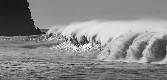 ©FastLoudPhotography_SaltCreek_1Y9A1293