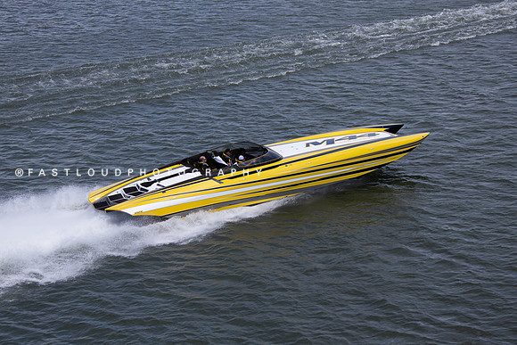 ©FLP_BigCat_LunchRun_6848