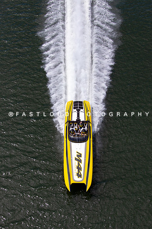 ©FLP_BigCat_LunchRun_6976