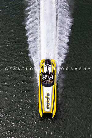 ©FLP_BigCat_LunchRun_6977