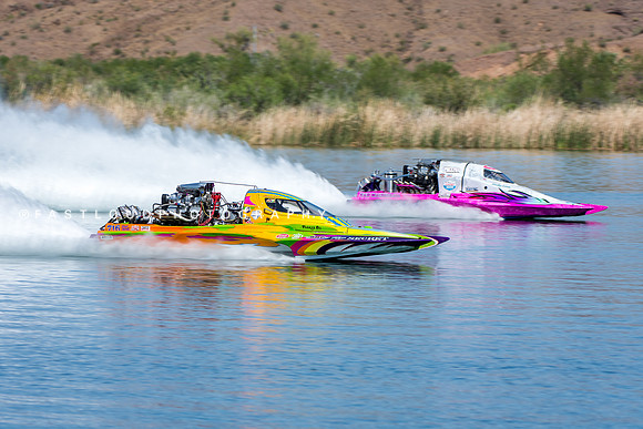 FDP_1299